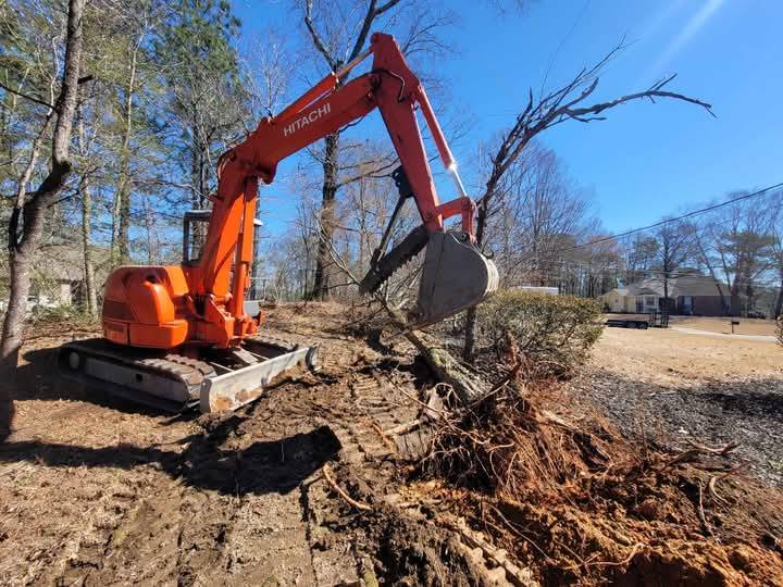 Demolition and debris removal